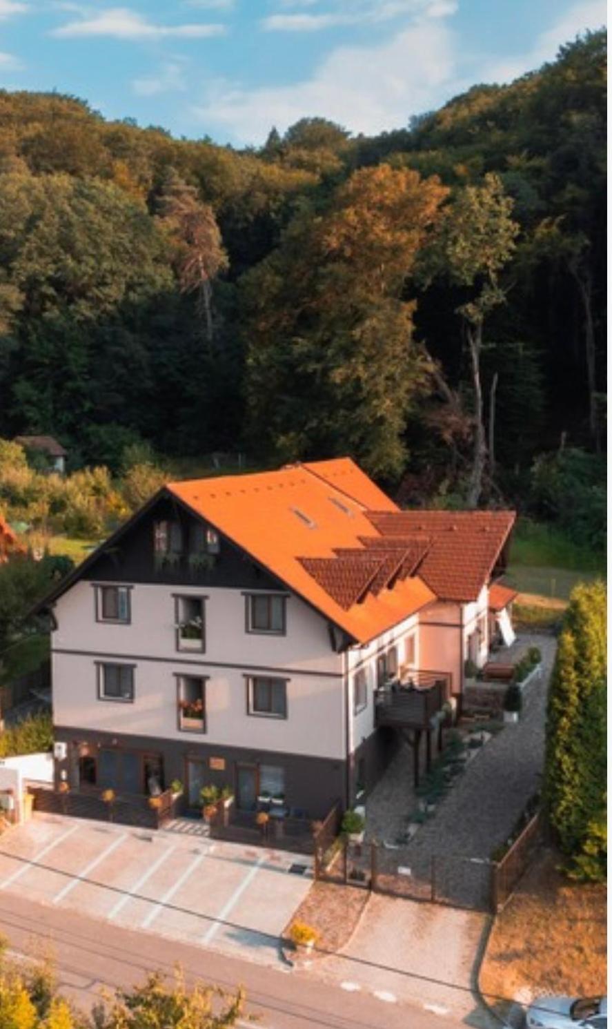 Silvan - * Sighişoara