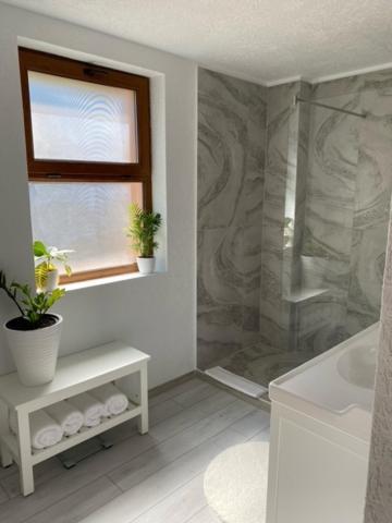 Silvan - Apartment Sighişoara